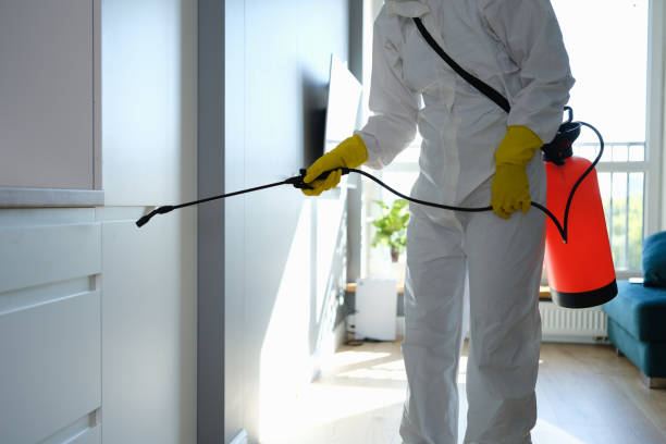 Best Office Mold Removal Services  in Camden, SC
